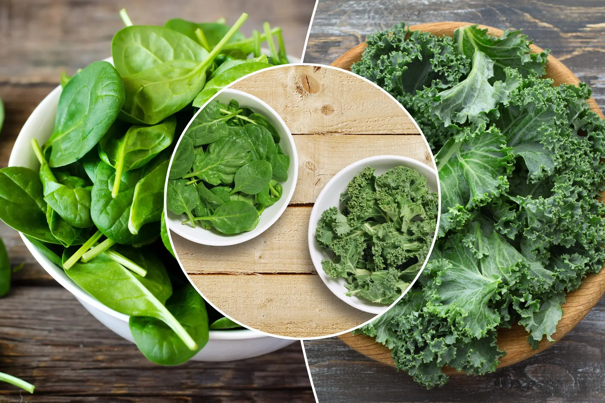 🥬 Kale vs. Spinach: Which Leafy Green Reigns Supreme in Nutrition?